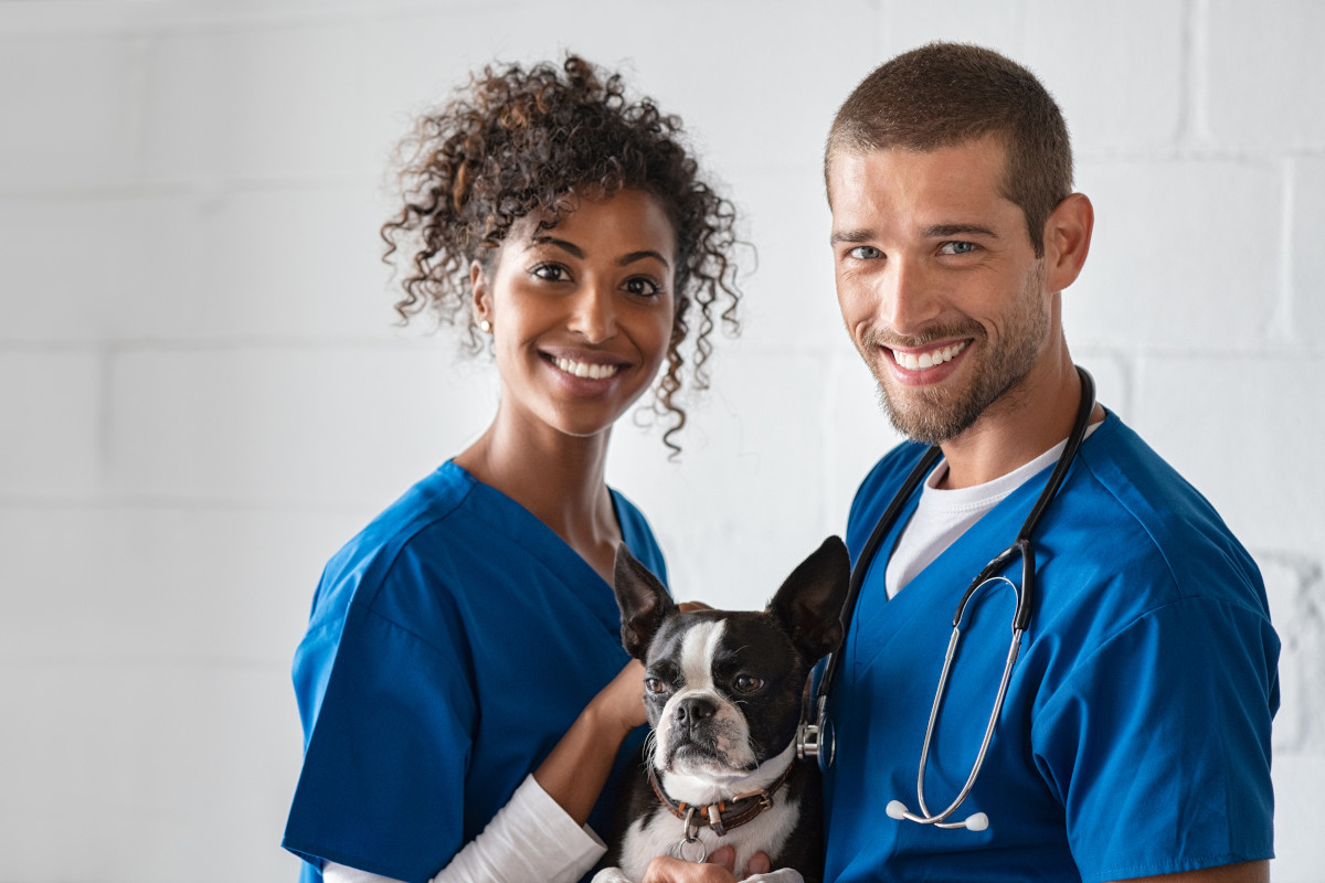 Do vets get better mortgage rates?